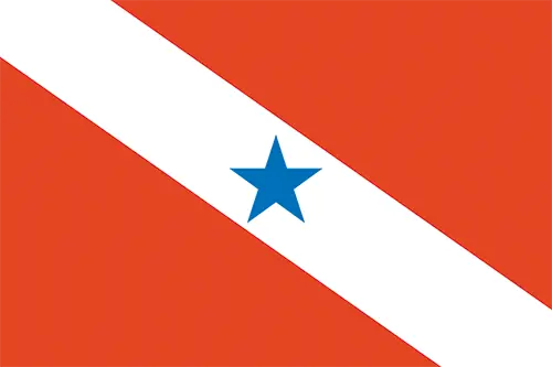 Bandeira de Pará